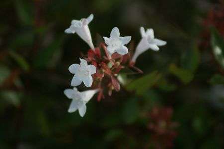 夏、そっとしといて