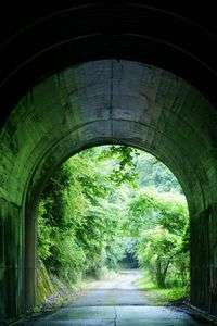 グリーンのトンネル