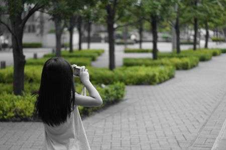 日常を緑で切り取りました