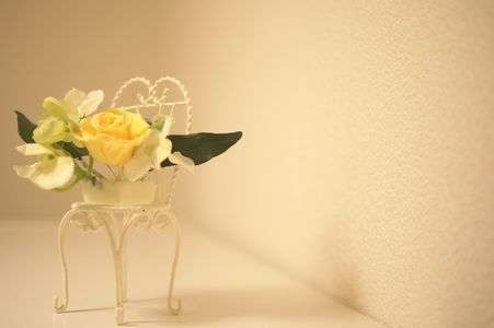 Yellow RoseⅡ
