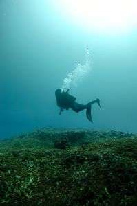 通り池～上から見るか中から見るか～