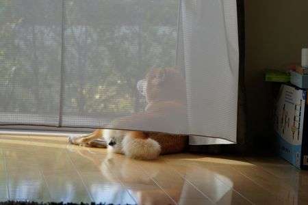 外はどんなかなぁ