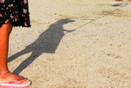 伸びる影に我が幼少時代を思ふ