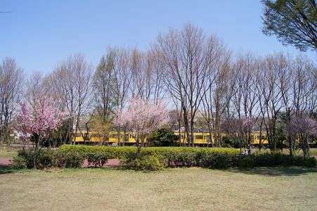 公園から見える電車