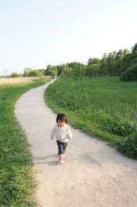 初夏の風にふかれて