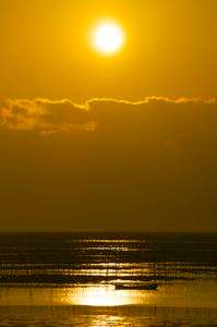 The ARIAKE　〜冬の干潟〜