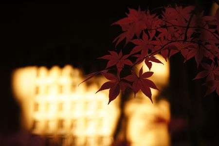 野火止　平林寺　静寂