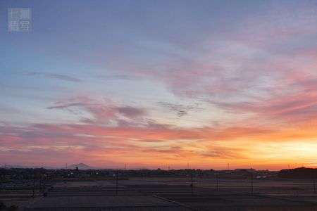 朝焼けの渡良瀬遊水地