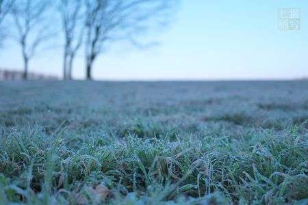 日差しの暖かさ