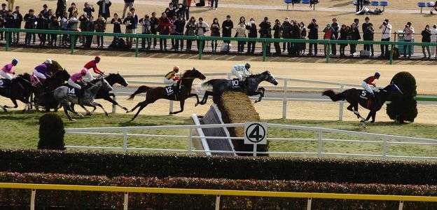 東京競馬場障害レース