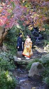 紅葉の下での語らい