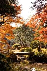 おーい、そっちから撮ってくれ