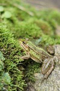 なまなましきは