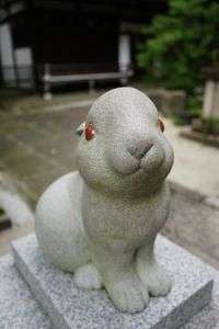 岡崎神社の狛うさぎ