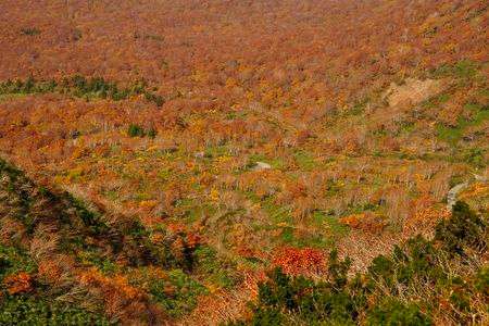 秋の秋田駒ケ岳 3