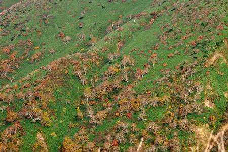 秋の秋田駒ケ岳 4
