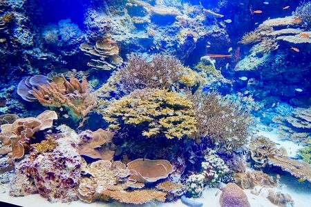 賑やかな水族館