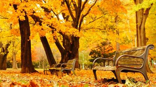 晩秋、暖かな空席