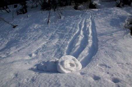 フレッシュロールケーキ