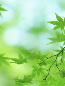 ハイキー撮りで爽やかに＊*