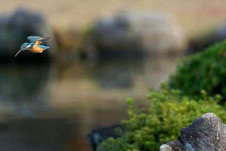 ジャンプして勢いをつけ・・・、