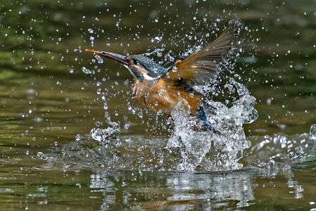 アッ、間違えた・・・、