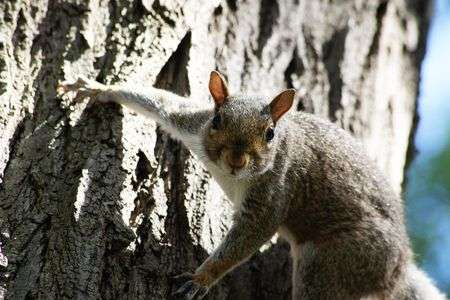 振り返れば、俺がいた