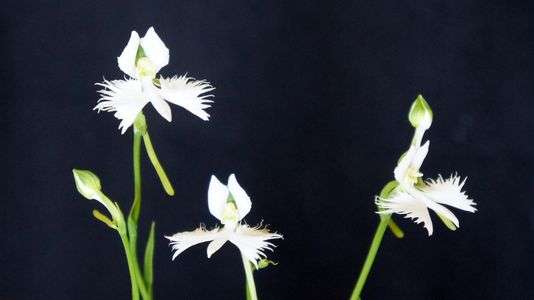 一寸待ってー、何処へ行くの？