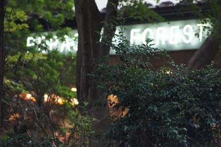 緑の向こうには・・・