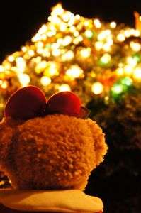 もう直ぐクリスマス･･･