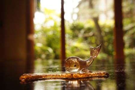 ピンクのクジラ