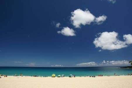 Waimea Bay Beach Park