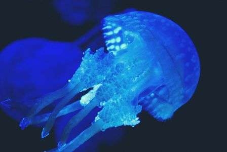 ゆらゆら～　っと♪