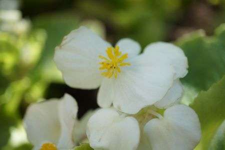 天神での1コマ。