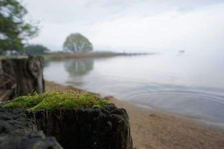 雨模様の琵琶湖