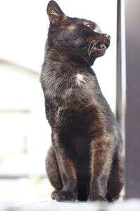 神社の境内にて。