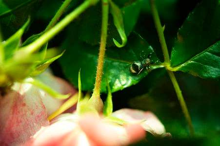 グロテスクもご愛嬌。