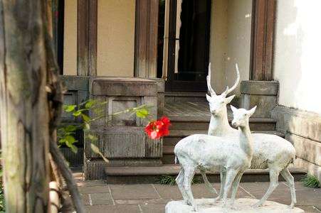 鹿たちは見た。