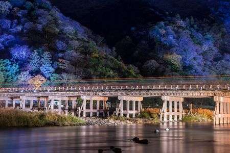 妖艶に染まる夜