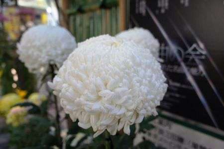 ホントきれいでした