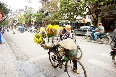 ハノイの花売りさん
