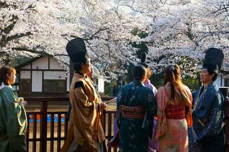 お花見風景♪