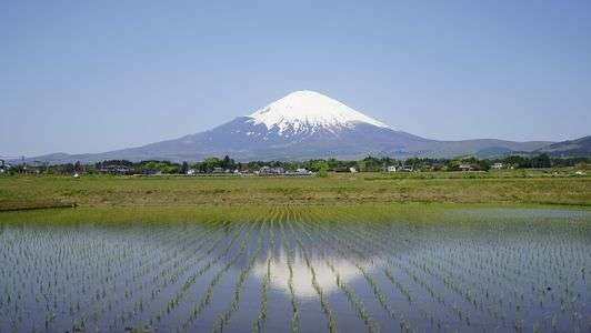 #2024カレンダー