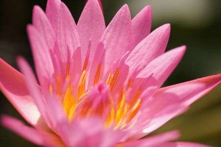 まだまだ　元気いっぱい