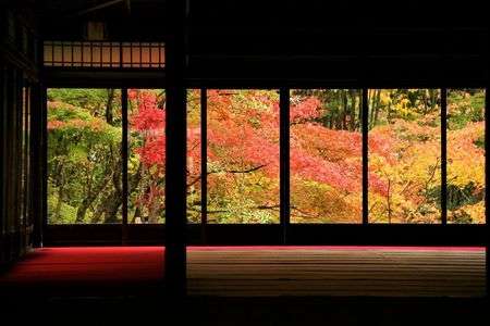 京の紅葉