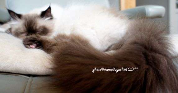 いまのところ一番