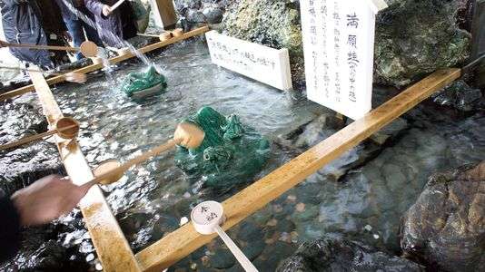 蛙がびしょびしょ