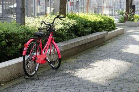 <ssp>ワンポイント