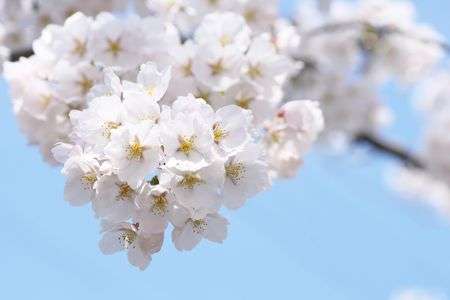 やっと春がやってきました・・・