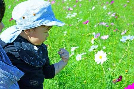 コレ、ナァニ？